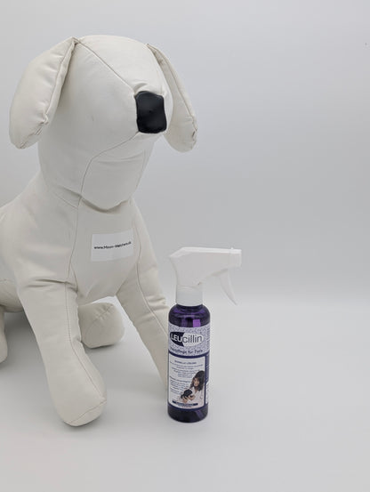 Leucillin (Hypoklorsyre): Immunsystemets Eget Værktøj til Hud- og Sårpleje