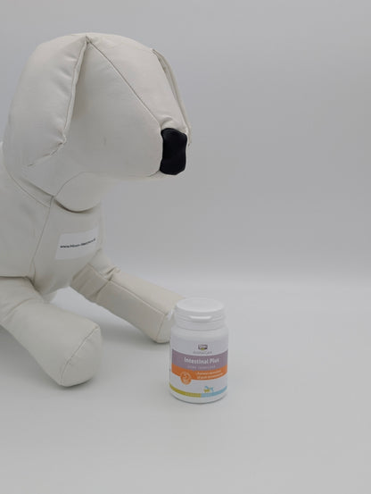 GRAU Intestinal Plus: Synbiotisk Intervention til Mikrobiom-Genopbygning