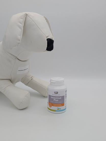 GRAU Intestinal Plus: Synbiotisk Intervention til Mikrobiom-Genopbygning