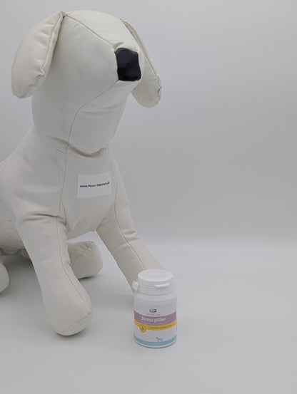 GRAU Stress Tabletter: Tredobbelt Fysiologisk Støtte til Nervesystemet