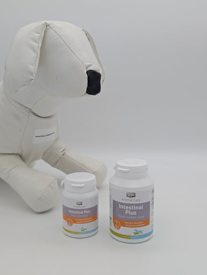 GRAU Intestinal Plus: Synbiotisk Intervention til Mikrobiom-Genopbygning
